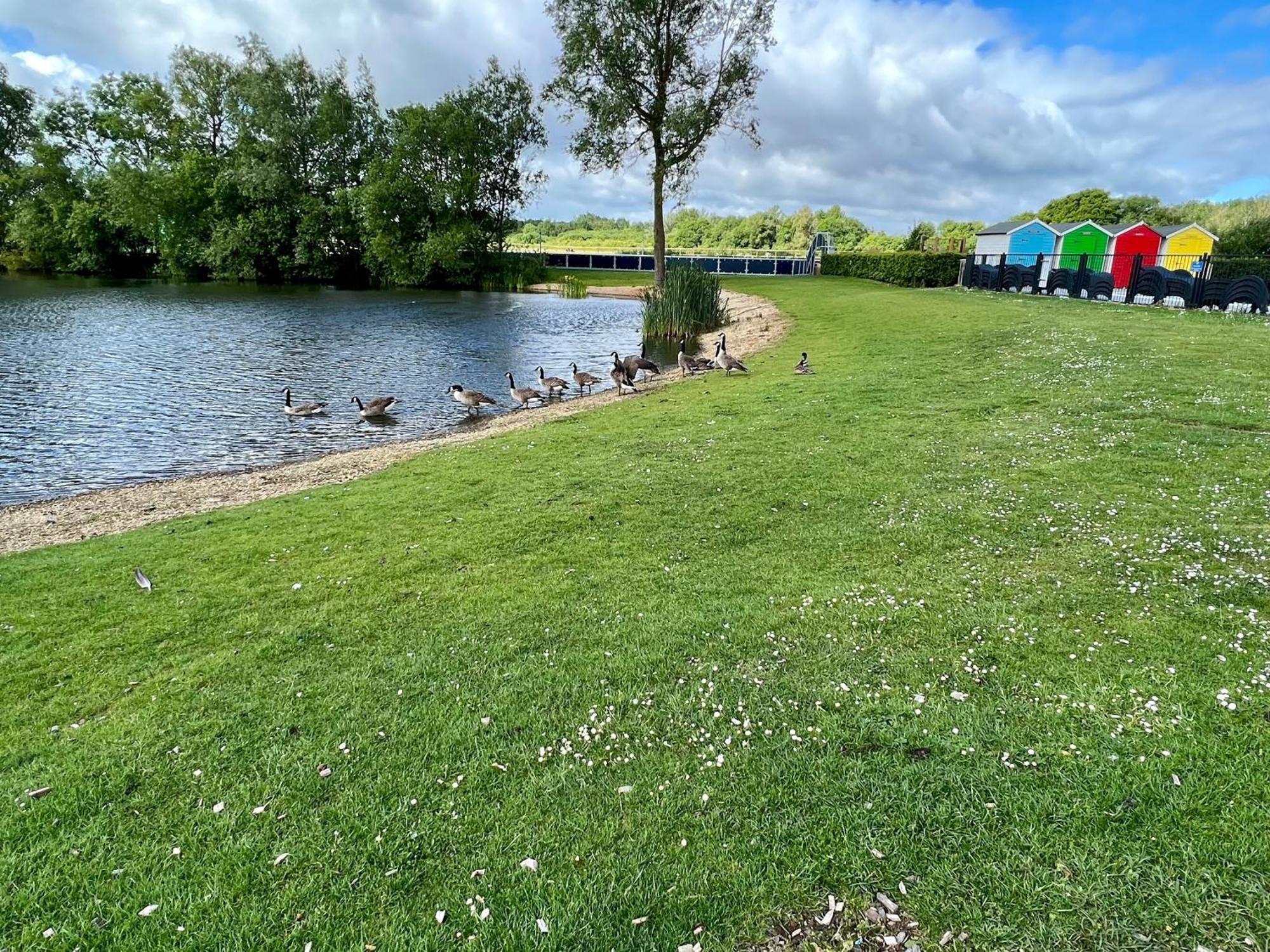 Villa Dabbling Ducks - Pet Friendly South Cerney Exterior foto